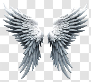 Realistic Angel Wings - Majestic Angel Wings Transparent PNG