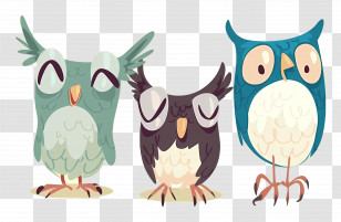 Cute Owls - Colorful Cartoon Owls Illustration Transparent PNG