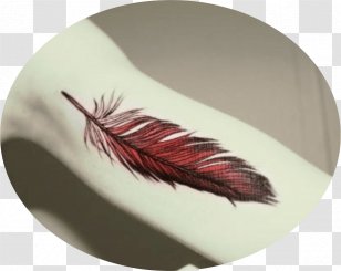 Feather Png Alpha  Clip Art Library