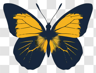 Butterfly Silhouette - Yellow And Black Butterfly Illustration Transparent PNG