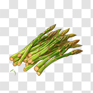 Asparagus - Bunch Of Asparagus Illustration Transparent PNG