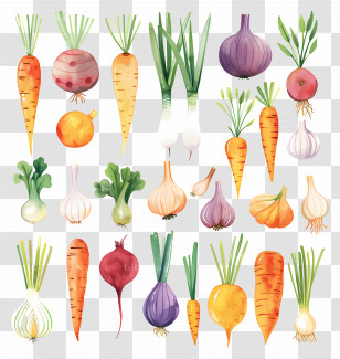 Vegetables - Colorful Variety Of Root Vegetables And Onions Transparent PNG