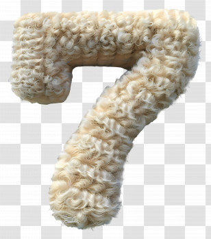 Number 7 - Furry Number Seven Transparent PNG