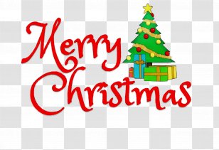 Christmas Tree Watercolor - Ornament - Pine Interior Design Transparent PNG