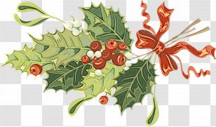 Holly - Ilex - Branch Tree Transparent PNG