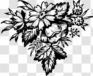 Floral Design Flowering Plant Art Clip - Black And White - Flower Transparent PNG