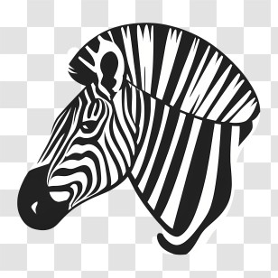 Zebra Logo - Black And White Zebra Illustration Transparent PNG