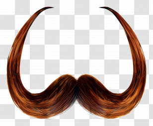 Moustache - Curved Brown Mustache Transparent PNG