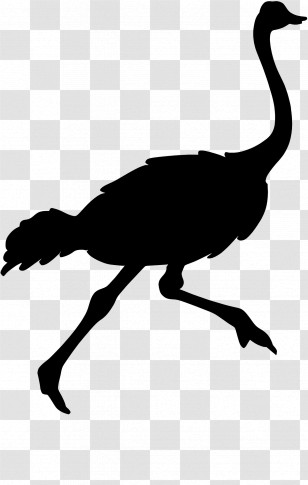 Ostrich - Black Ostrich Silhouette Transparent PNG