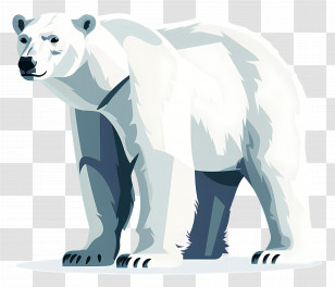 Polar Bear - Polar Bear In Arctic Illustration Transparent PNG