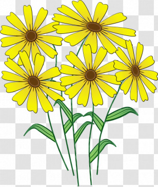 Flower Yellow Plant Petal Wildflower Transparent PNG