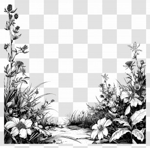 Picsart Background - Black And White Floral Illustration Transparent PNG