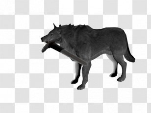 Leopard Black Panther Cat Cougar Felidae - Dog Like Mammal Transparent PNG