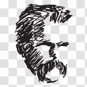 Drawing Carnivora /m/02csf White - Carnivoran - Hdtv Transparent PNG