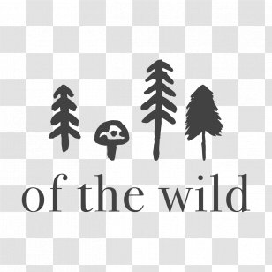 Of The Wild Nature Preschool CKWD St. Patrick's Island Pre-school Wee Ones - Logo Transparent PNG