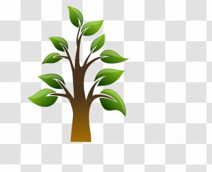 Dietary Supplement Health Arthritis Vitamin Arborvitae - Trees Transparent PNG