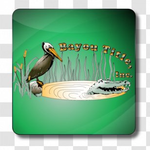 Duck Seabird Beak - Green Transparent PNG