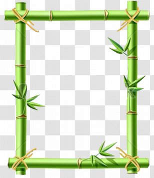 Bamboo Stock Photography Clip Art - Grass Family - Photograph Transparent PNG