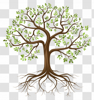 Tree With Roots - Tree With Roots And Branches Illustration Transparent PNG