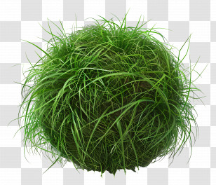 Grass Ball - Round Ball Of Green Grass Transparent PNG