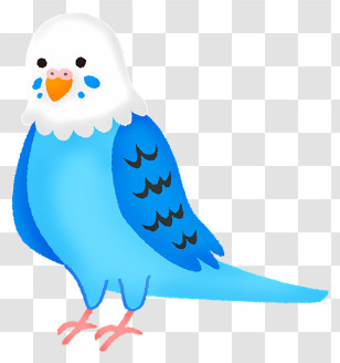 Clipart - Cute Blue Parakeet Illustration Transparent PNG