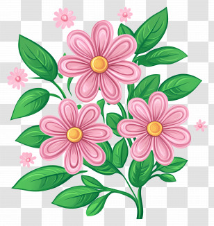Daisy Bouquet - Pink Daisy Flower Illustration With Green Leaves Transparent PNG
