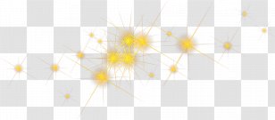 Flower Line - Yellow - Plant Transparent PNG