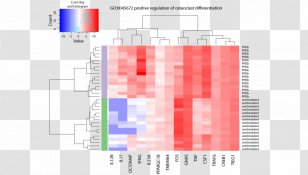 DNA Microarray Heat Map RNA-Seq Nucleic Acid Sequence - Rnaseq - Gene Expression Transparent PNG