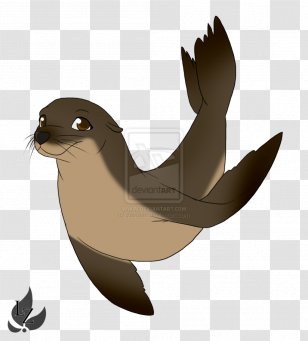 Sea Lion Lionhead Rabbit Drawing Clip Art - Marine Mammal Transparent PNG