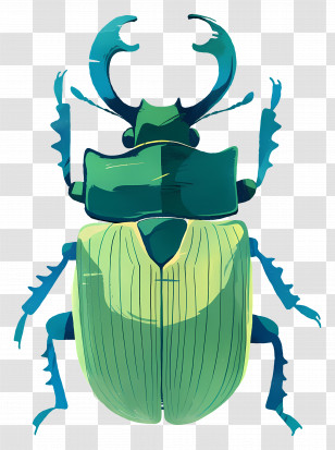 Scarab Beetle - Green Beetle Illustration Transparent PNG