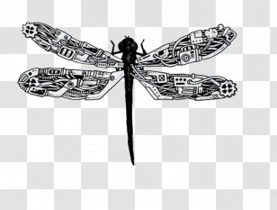 Steampunk Artist Drawing Illustration - Invertebrate - Creative Hand-painted Mechanical Elements Dragonfly Transparent PNG