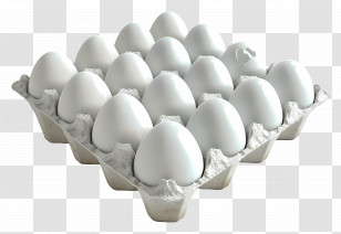 Egg Carton - Carton Of White Eggs Transparent PNG