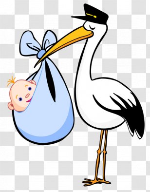 Birthday Cake Clip Art - Beak - Baby And Stork Clipart Transparent PNG