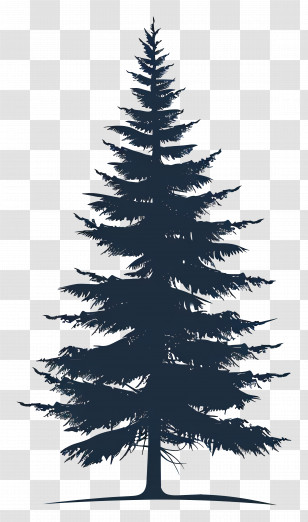 Pine Tree Silhouette - Pine Tree Silhouette Illustration Transparent PNG