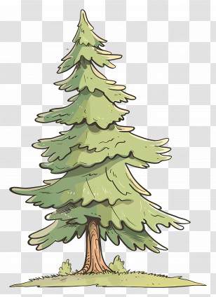 Pine Tree - Tall Evergreen Tree Sketch Transparent PNG