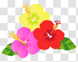 Education - Colorful Flowers In Bloom Transparent PNG