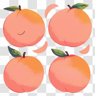 Peach - Peach Illustration With Green Leaves Transparent PNG