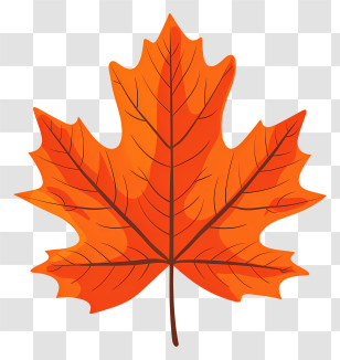 Maple Leaf - Bright Autumn Maple Leaf Illustration Transparent PNG