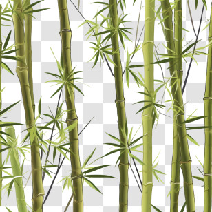 Bamboo - Green Bamboo Stalks Transparent PNG