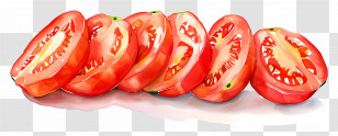 Tomato Slice - Fresh Tomato Slices Transparent PNG