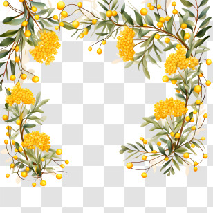 Golden Wattle - Beautiful Floral Frame With Yellow Flowers Transparent PNG