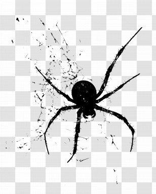 Spider Web - Silhouette Of A Spider Transparent PNG