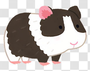 Icon - Cute Black And White Guinea Pig Drawing Transparent PNG