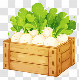 White Radish - Wooden Crate With Fresh Turnips Transparent PNG