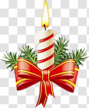 Christmas Decoration - Tree - Event Pine Transparent PNG