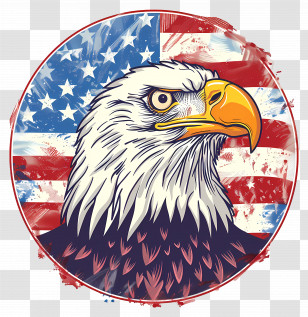 Independence Day - Bald Eagle Over American Flag Illustration Transparent PNG