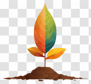 Autumn Leaf On Soil - Colorful Sprouting Plant In Soil Transparent PNG
