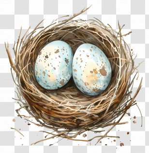 Nest - Bird Nest With Speckled Eggs Transparent PNG