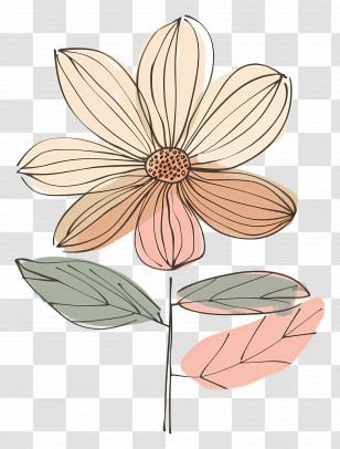 Cartoon Flower - Simple Line Art Flower Transparent PNG