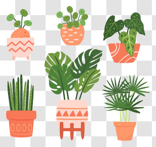 Potted Plants - Collection Of Cute Potted Houseplants Transparent PNG
